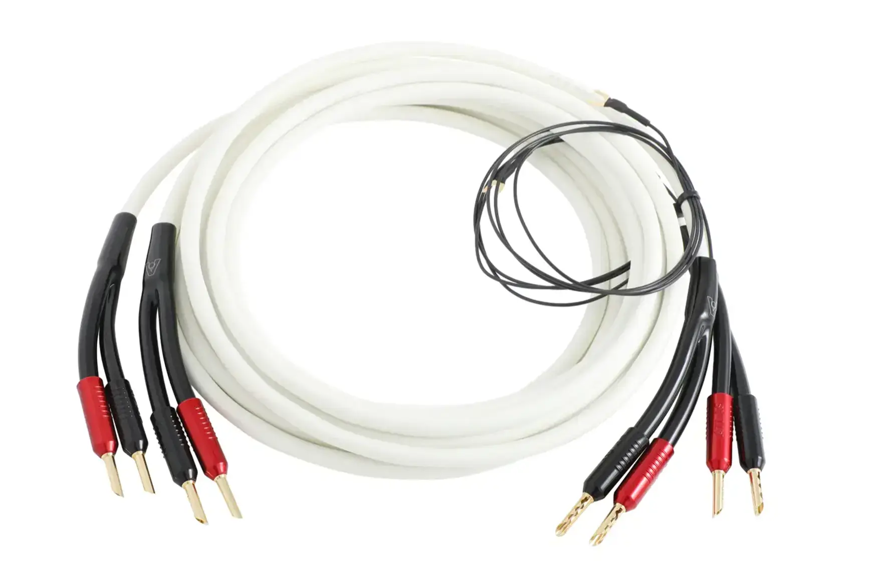 Element Speaker coiled